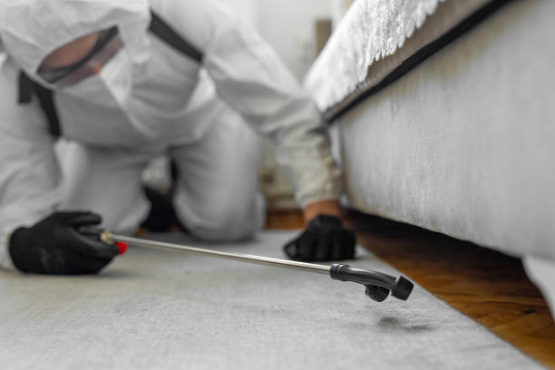 Professional Mosquito Control technician working in Five Points, FL
