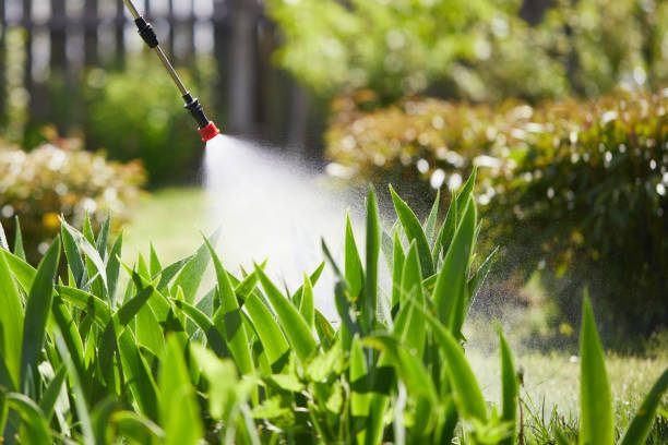 24/7 Emergency Mosquito Control experts in Five Points, FL